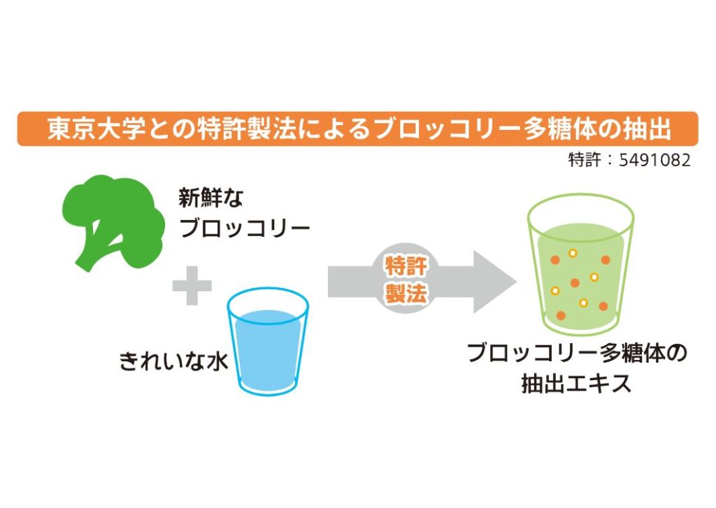 東京大学との特許製法によるブロッコリー多糖体の抽出